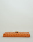 HERMES Ostrich Birkin Long Wallet