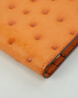 HERMES Ostrich Birkin Long Wallet