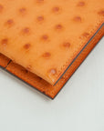 HERMES Ostrich Birkin Long Wallet