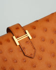 HERMES Ostrich Birkin Long Wallet