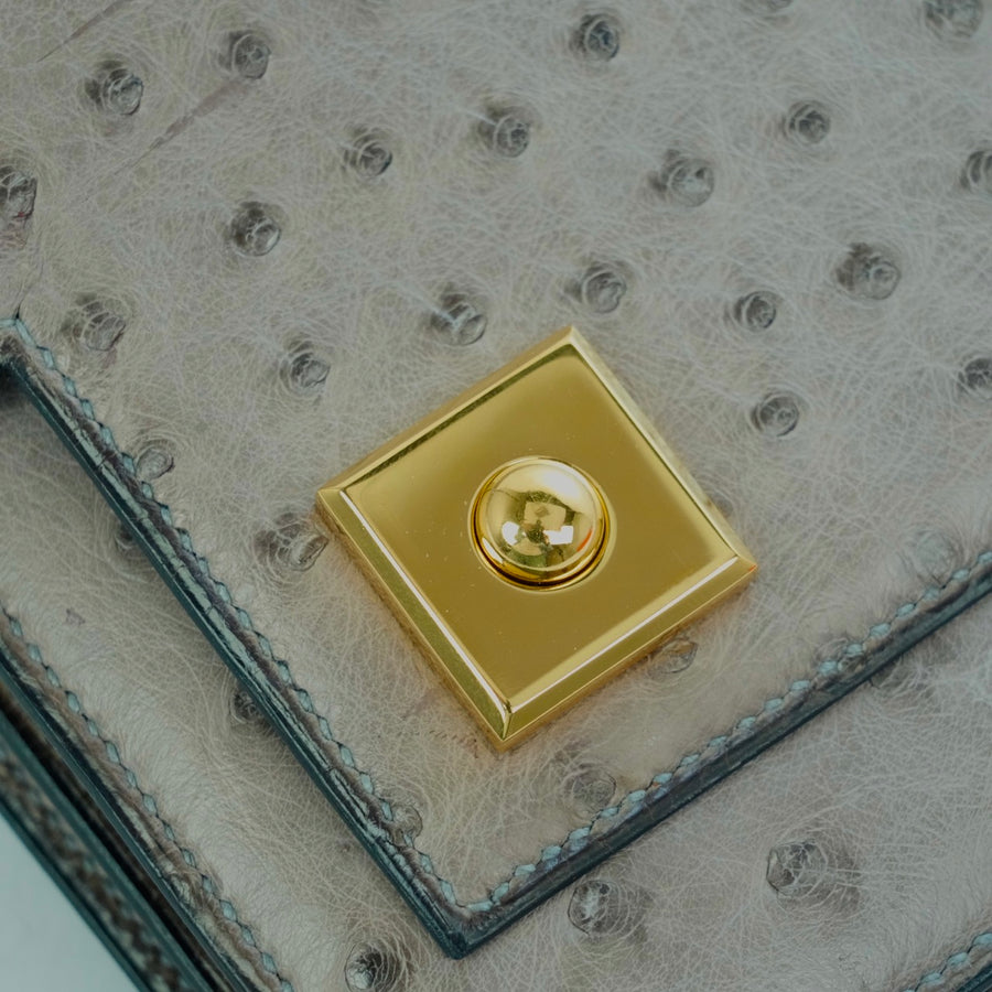 HERMES Ostrich Piano Handbag