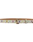 LOUIS VUITTON Multicolor Belt