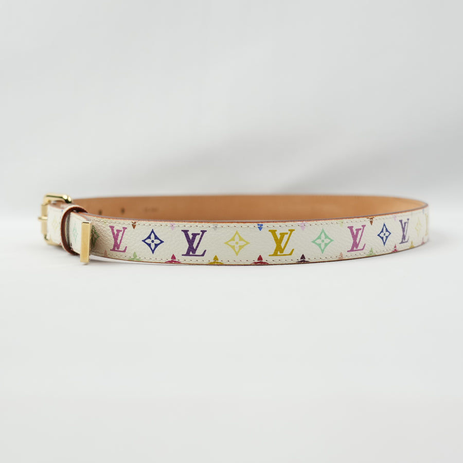 LOUIS VUITTON Multicolor Belt