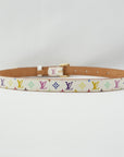 LOUIS VUITTON Multicolor Belt