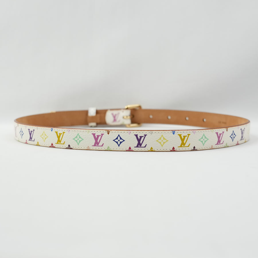 LOUIS VUITTON Multicolor Belt