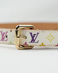 LOUIS VUITTON Multicolor Belt