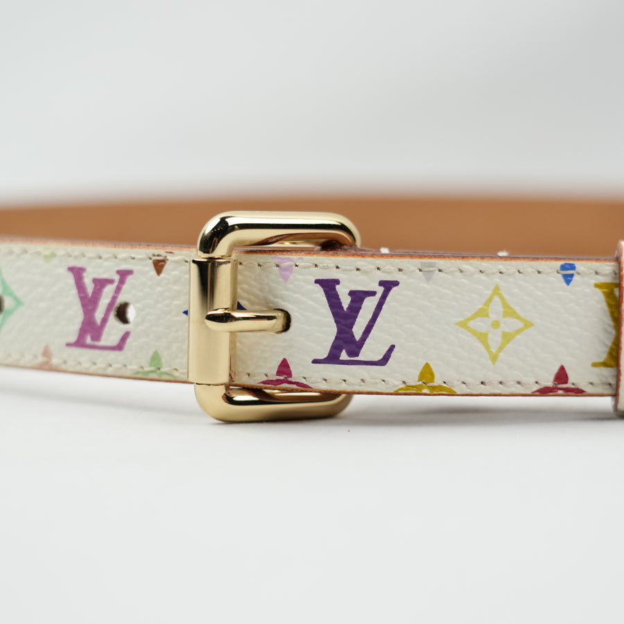 LOUIS VUITTON Multicolor Belt