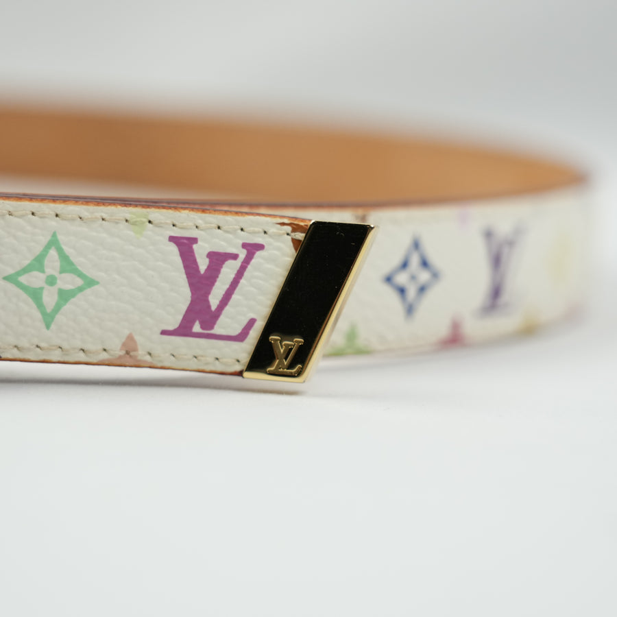 LOUIS VUITTON Multicolor Belt