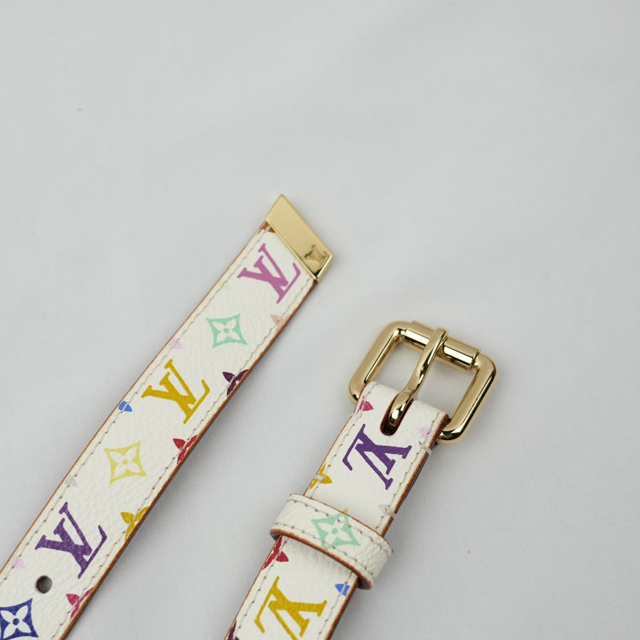 LOUIS VUITTON Multicolor Belt