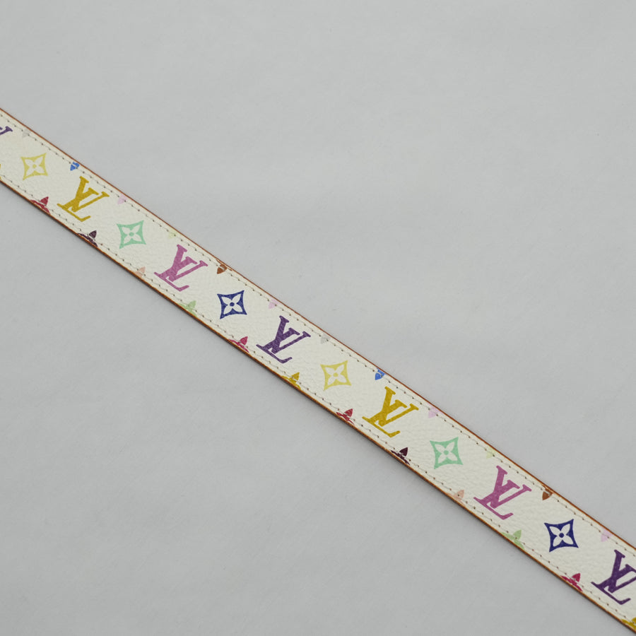 LOUIS VUITTON Multicolor Belt