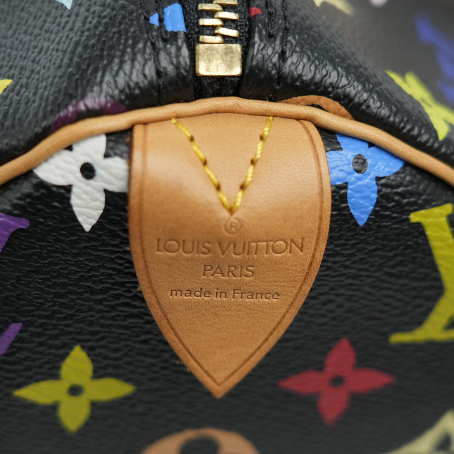 LOUIS VUITTON Multi Color Speedy30  Handbag M92642