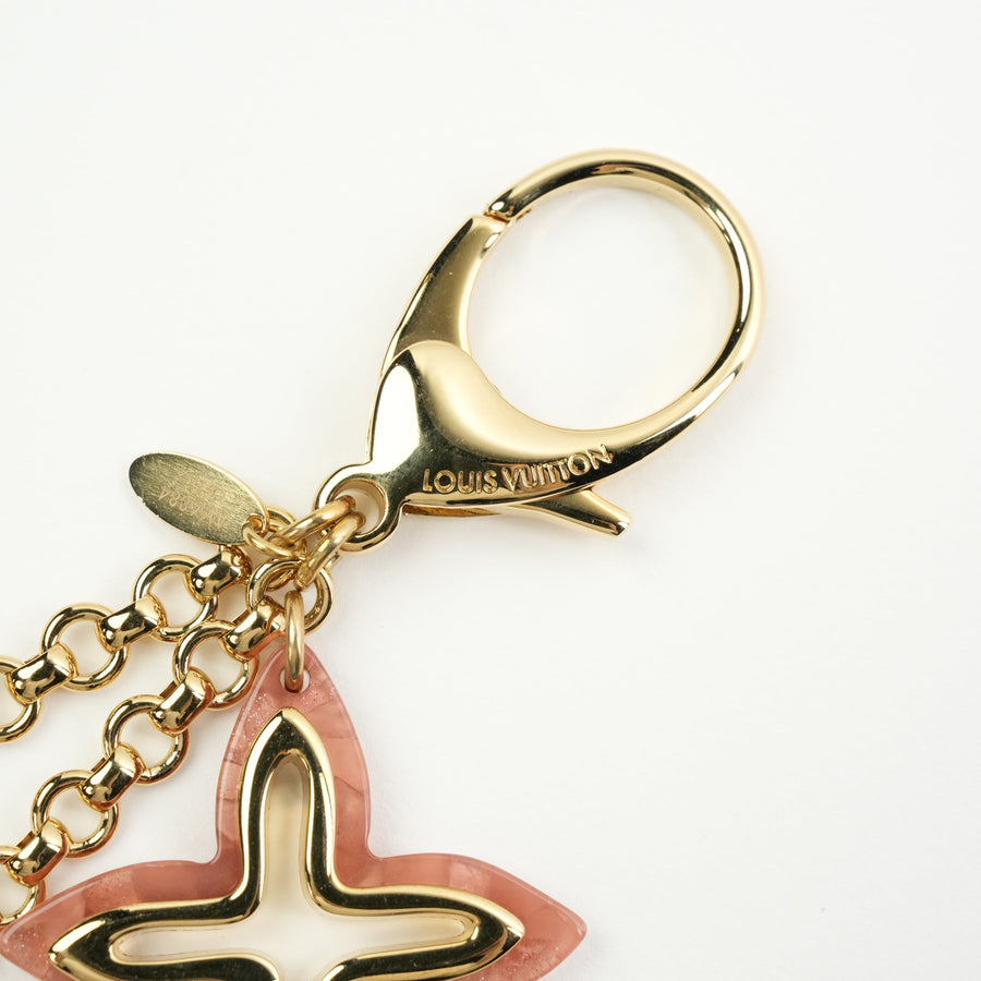 LOUIS VUITTON Keychain OTHER ACCESSORY M66884