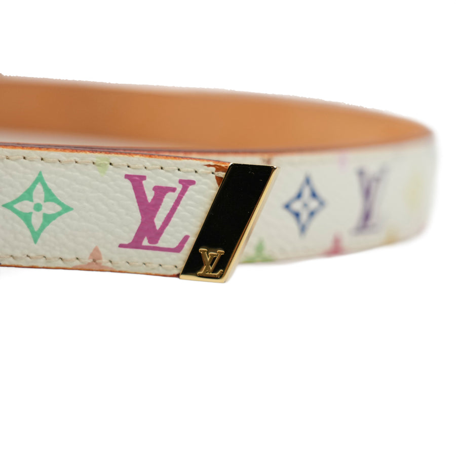 LOUIS VUITTON Multicolor Belt