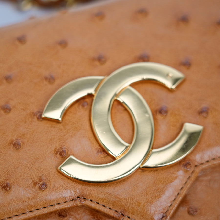 CHANEL 2000–2002 Coco Mark Chain Ostrich Shoulder Bag