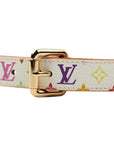 LOUIS VUITTON Multicolor Belt