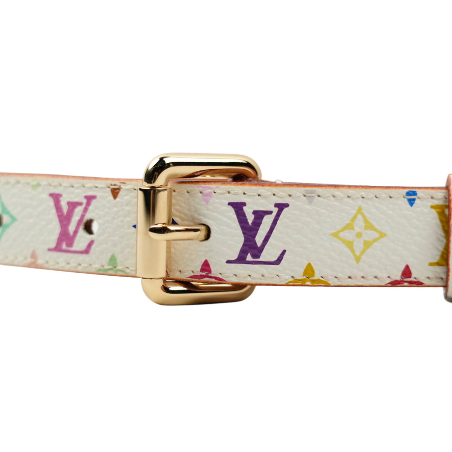 LOUIS VUITTON Multicolor Belt