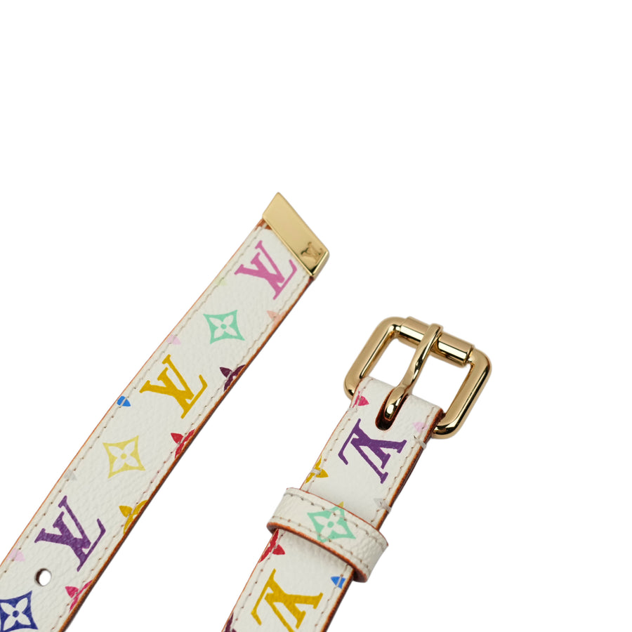 LOUIS VUITTON Multicolor Belt