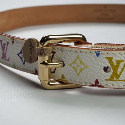 LOUIS VUITTON Multicolor Belt