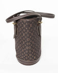 LOUIS VUITTON Monogram Bucket PM Ebene Handbag