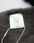 LOEWE Scarf